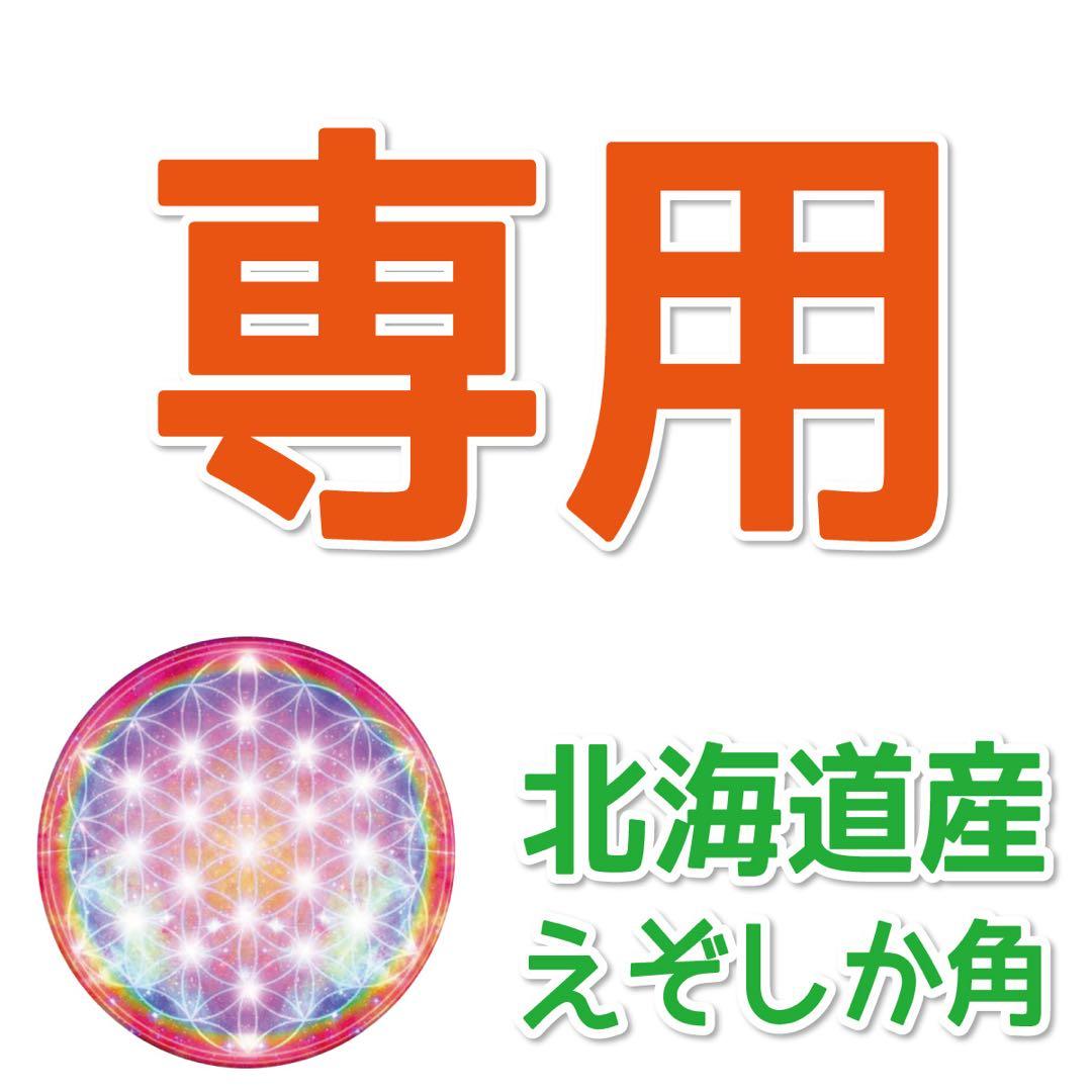 E＆R(๑•́‧̫•̀๑)♡♡　エゾシカの角 鹿の楽園に居た、 奇形の角 #エゾジカ #best_moments_nature