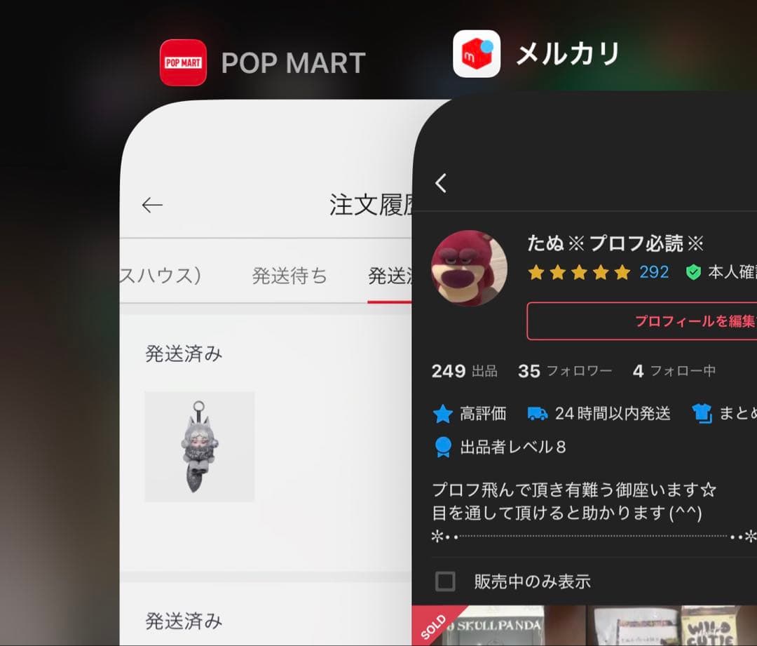 日本限定SKULLPANDA スカルパンダ XG②