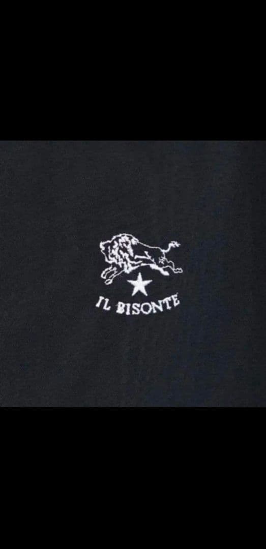 IL BISONTE×MIZUNO】Tシャツ完売品Lサイズ!の通販はau PAY マーケット