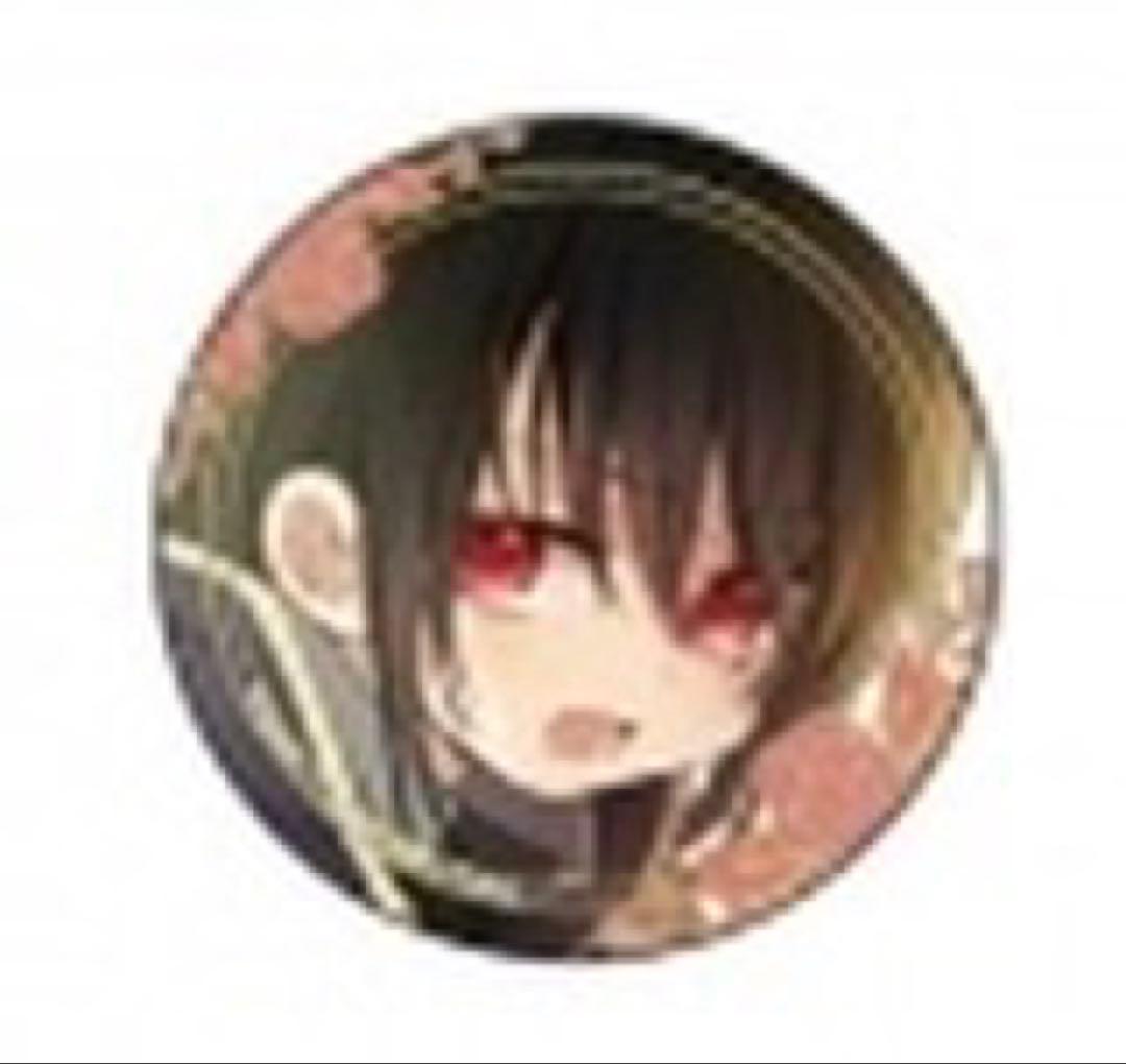 ある日、お姫様になってしまった件について ルーカス缶バッジ - メルカリ