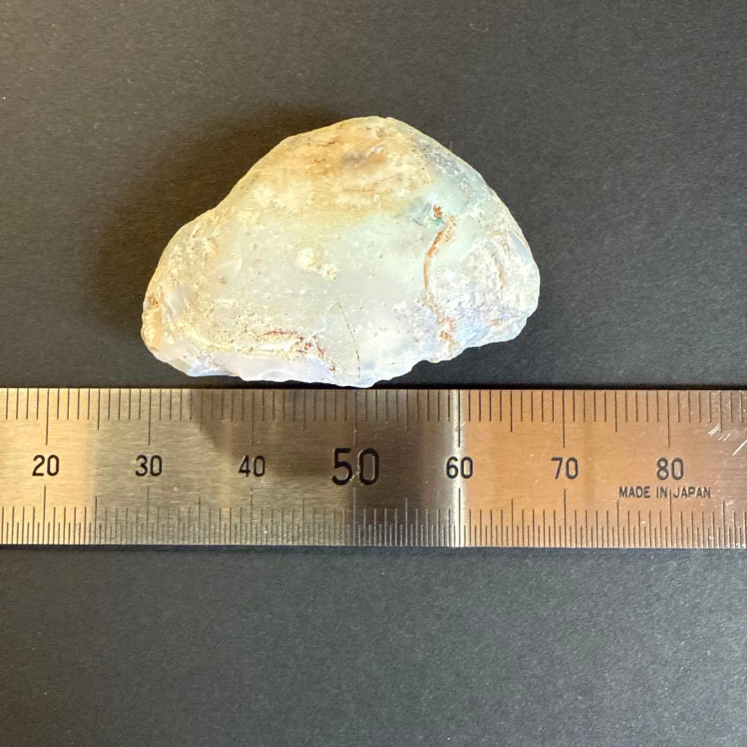 シェルオパール 貝オパール オパール化貝化石