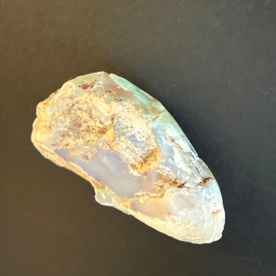 シェルオパール 貝オパール オパール化貝化石