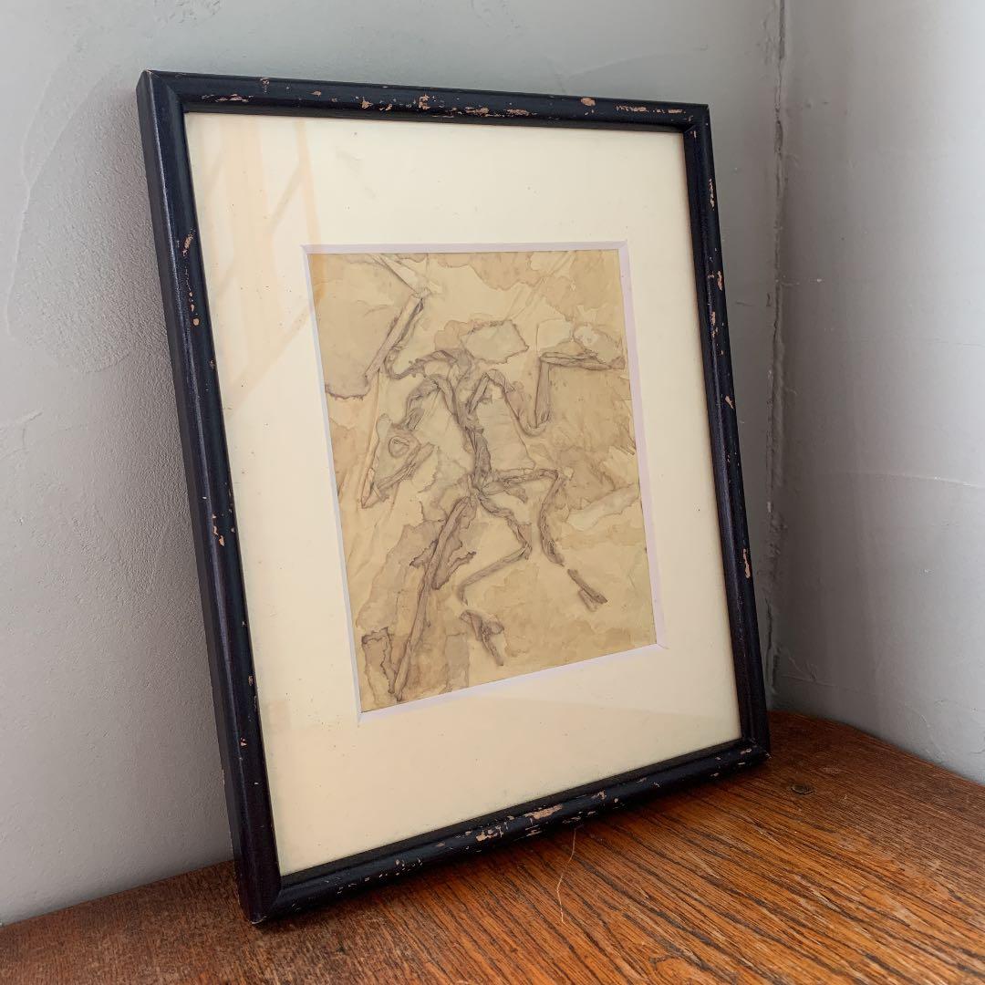 私の作った　ちぎり絵　始祖鳥の化石　木製ビンテージフレーム付き　ジュラ紀