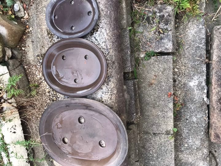 盆栽鉢　平型　時代烏泥平楕円盆栽鉢お任せ3点セット