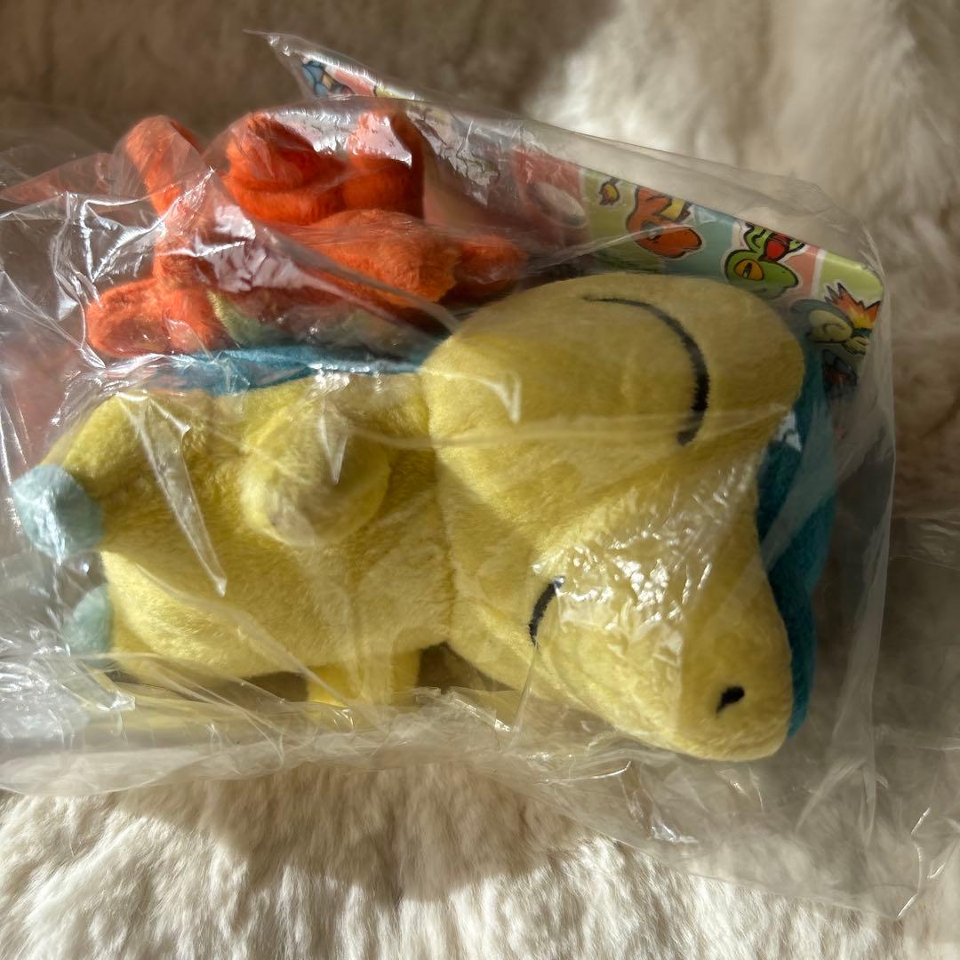 ポケモンセンター　連れ歩き　マスコット　ぬいぐるみ　ヒノアラシ　レア