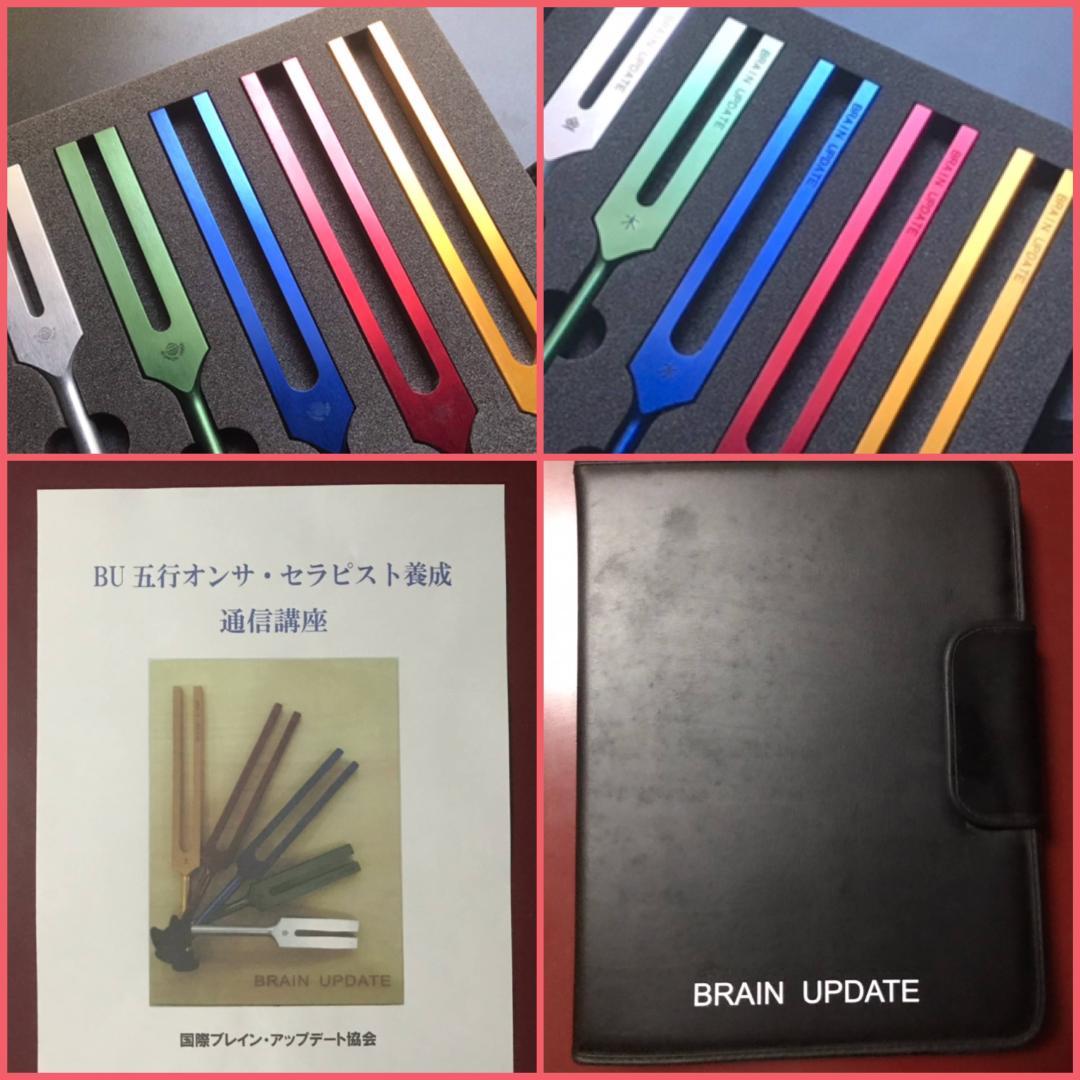 音叉 ニチオン 五行音叉 ブレインアップデート テキスト付 国産 新品未