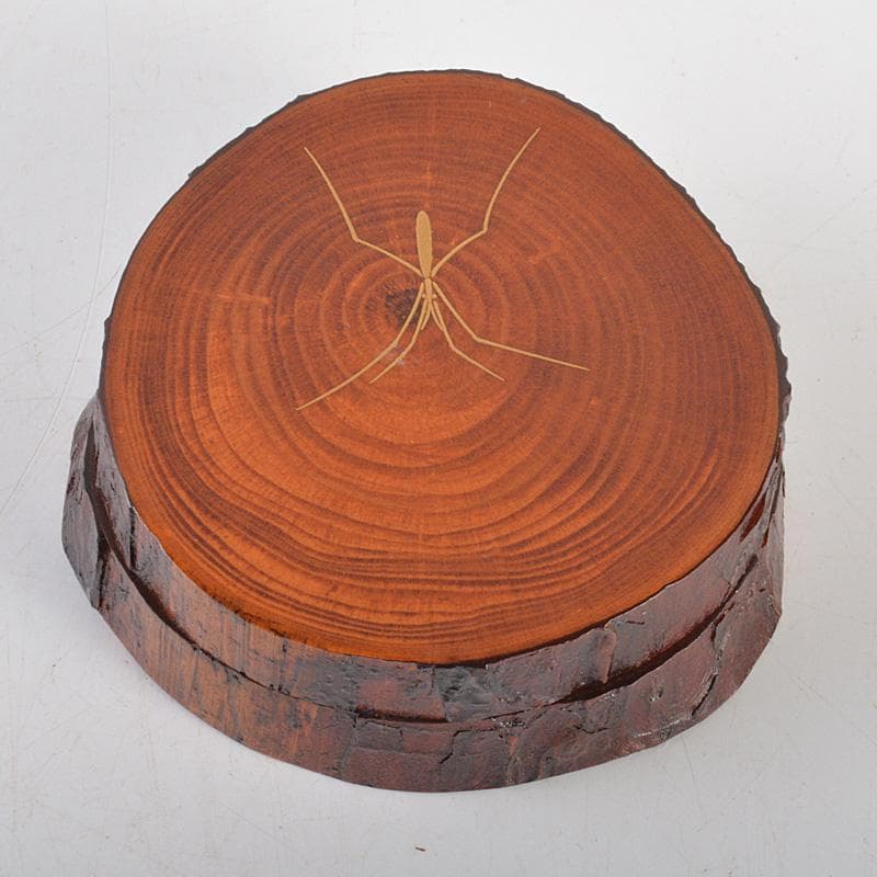 茶道具　道場宗廣作　水面蒔絵　松ノ木　香合　共箱　V　6334