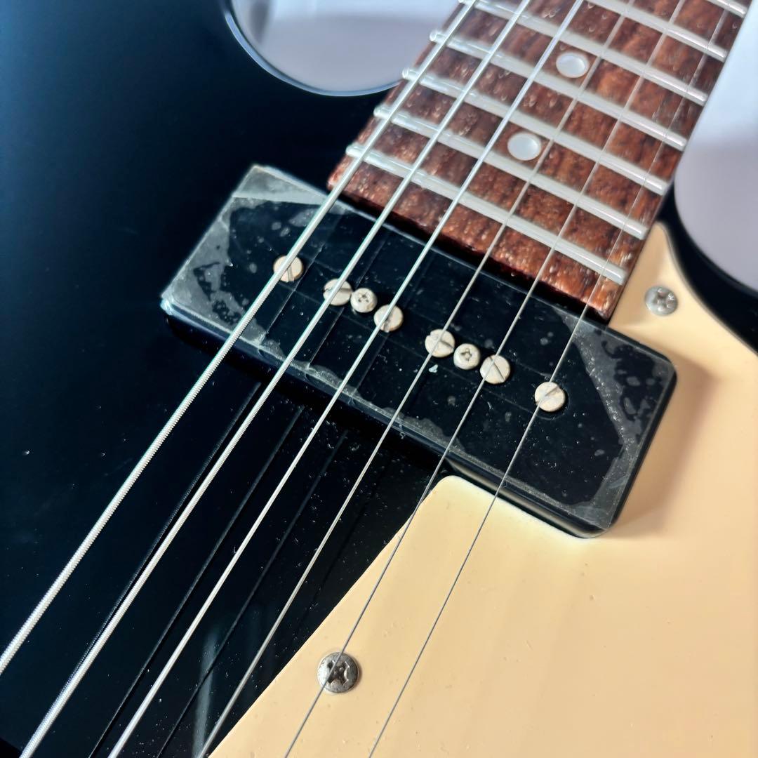 希少個体☆Grassroots by ESP 菅原卓郎G-Bricoleur