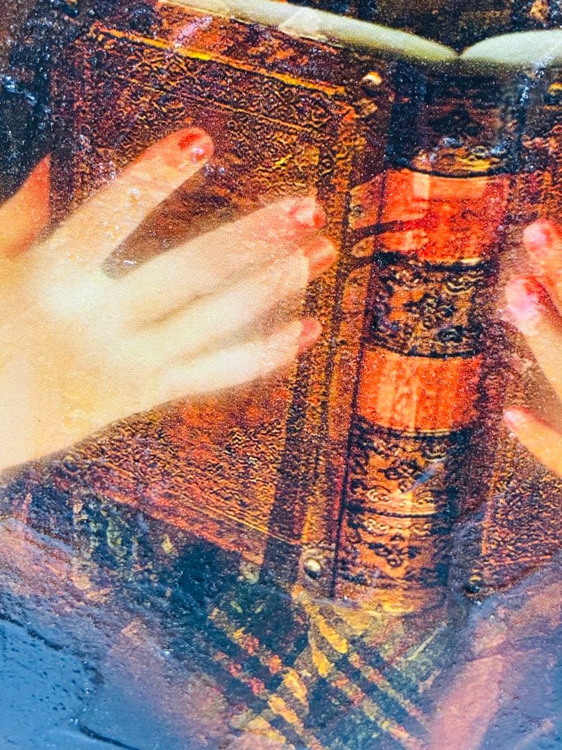 期間限定価格 幻想世界の少女画家 横田美晴 『琥珀色の詩集』P4号 真筆作品