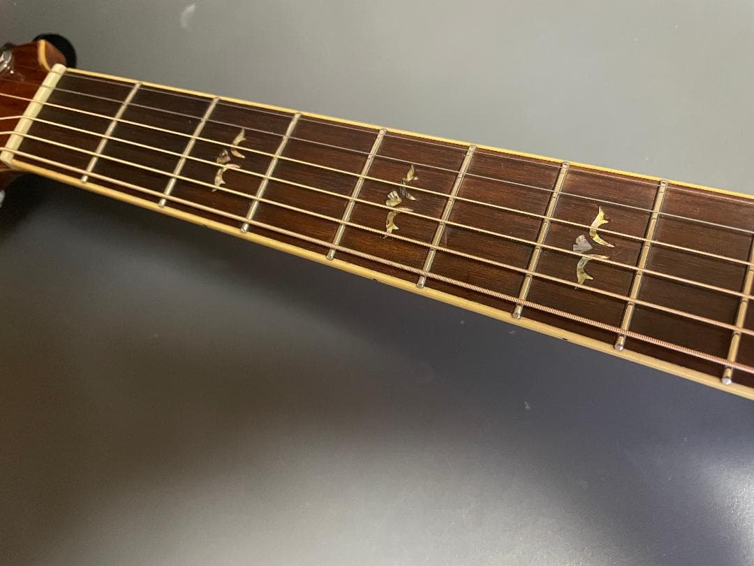 Takamine Cooder TCP-560VB TCP-560VB Takamine Cooder