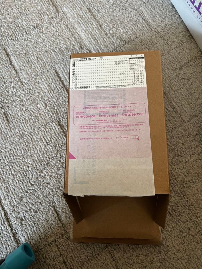 真骨彫 カブト ライダーフォーム10th Anniversary Ver.