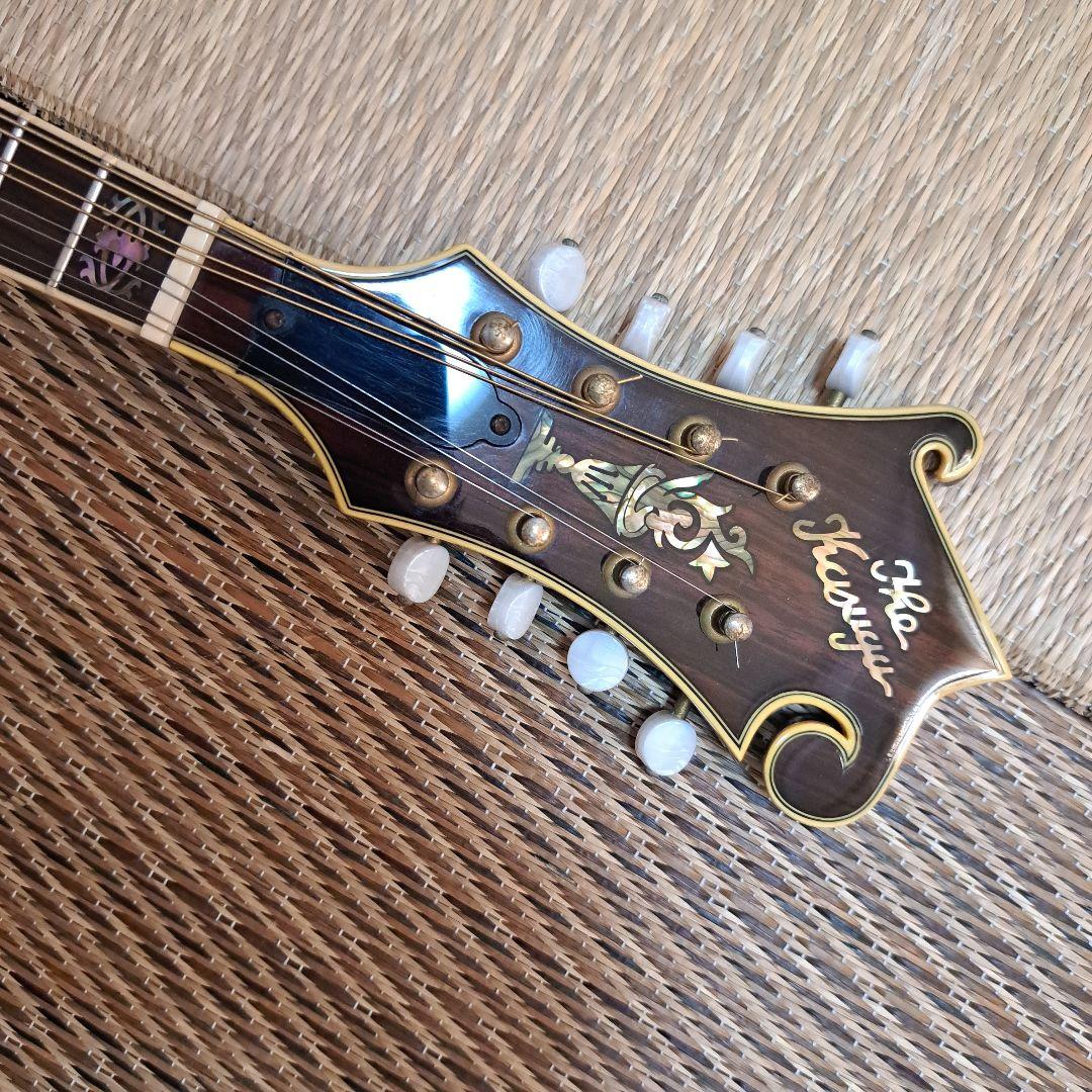 Pretender 訂正カスガ フラットマンドリン銘器70s~8ケース付