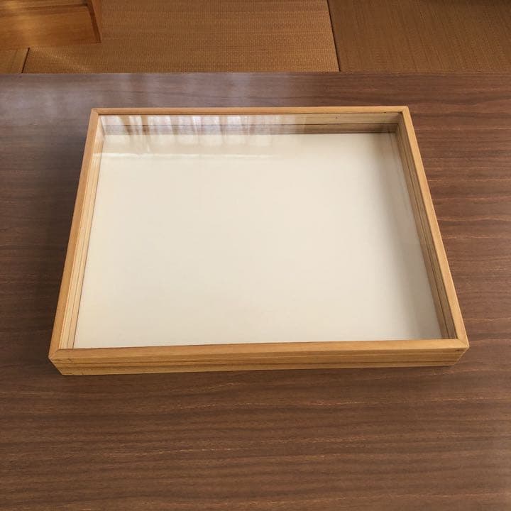 中型標本箱 割引 2箱 2箱 中型標本箱 中型 ドイツ型標本箱 バード