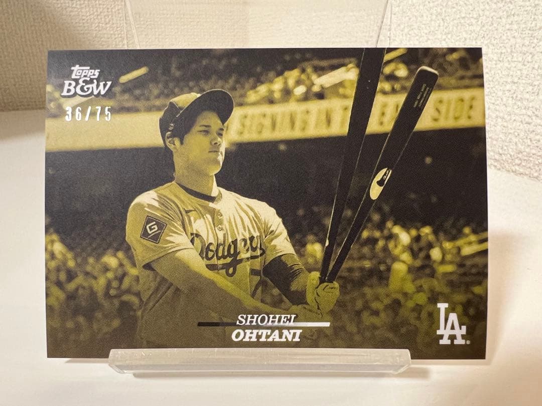 左山桃子 サンフレッチェ広島レジーナ オンサイトカード SRカード