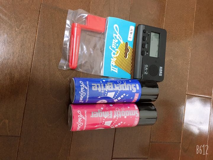 AriaProllエレキギター、カバー、アンプ、ピック、手入れ道具