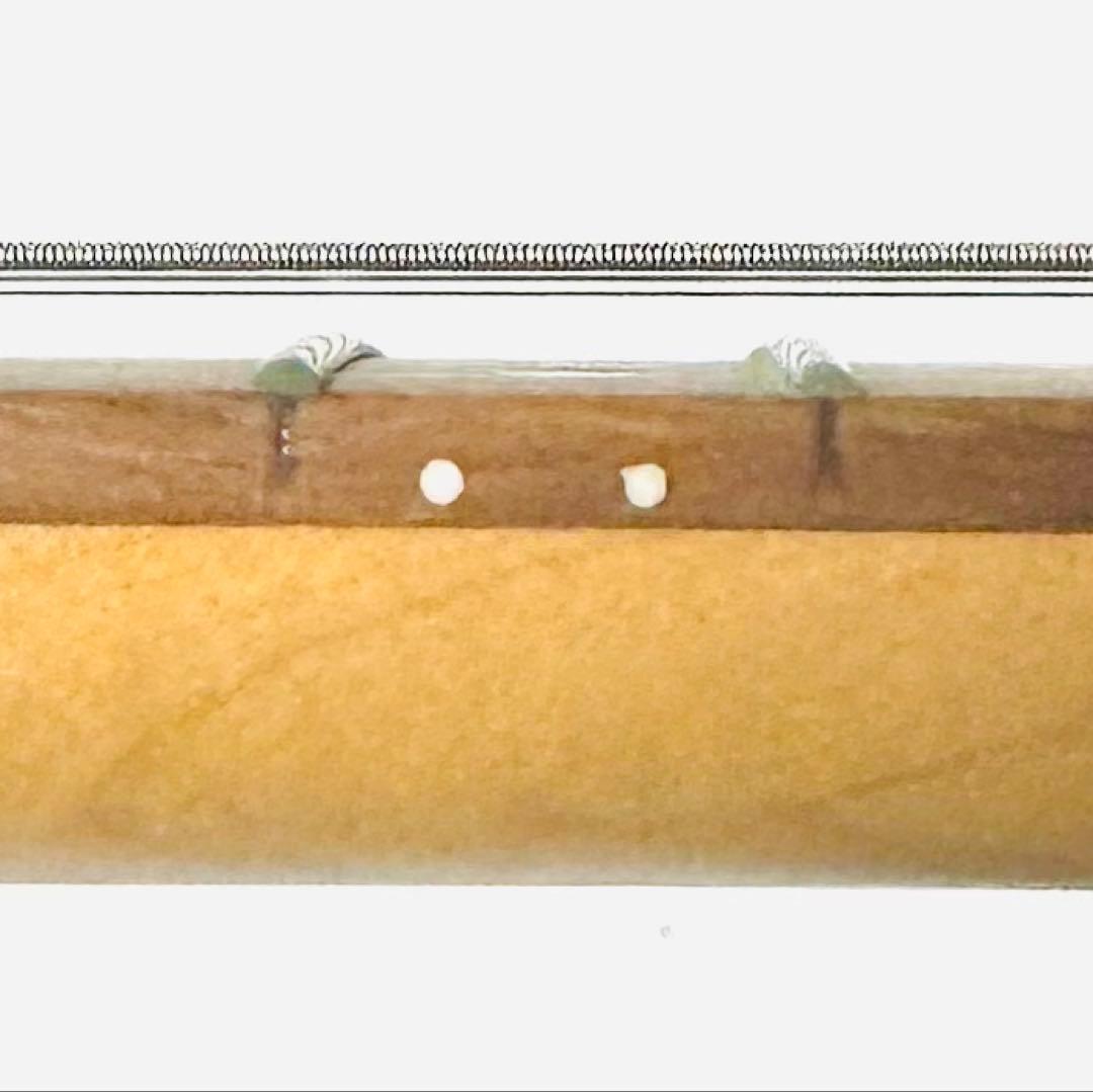 Cort コルト KX5FR 24f フロイドローズ コイルタップ ディンキー