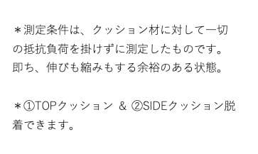 【新品、未使用】THE NORTH FACE ギターケース　150個限定
