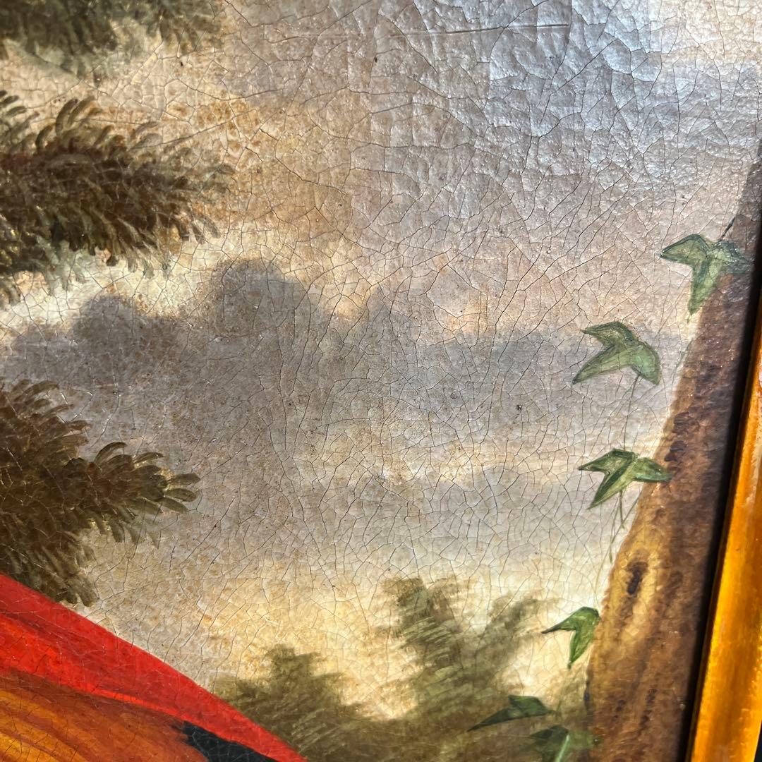 Montanari Papagallo 油彩画 50x70 cm