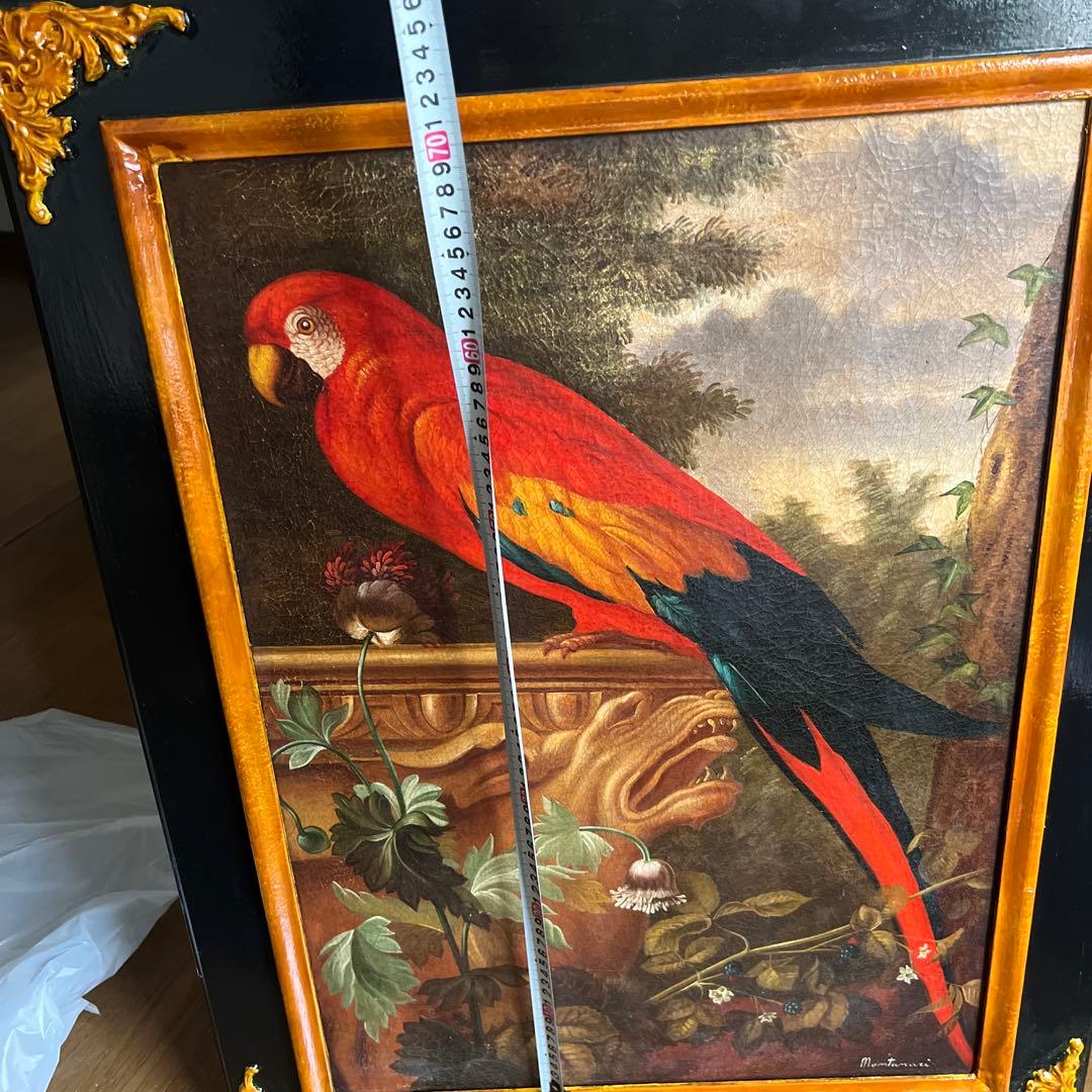 Montanari Papagallo 油彩画 50x70 cm