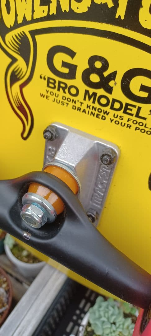  hawaiian ドッグタウン jay adams スケートボード