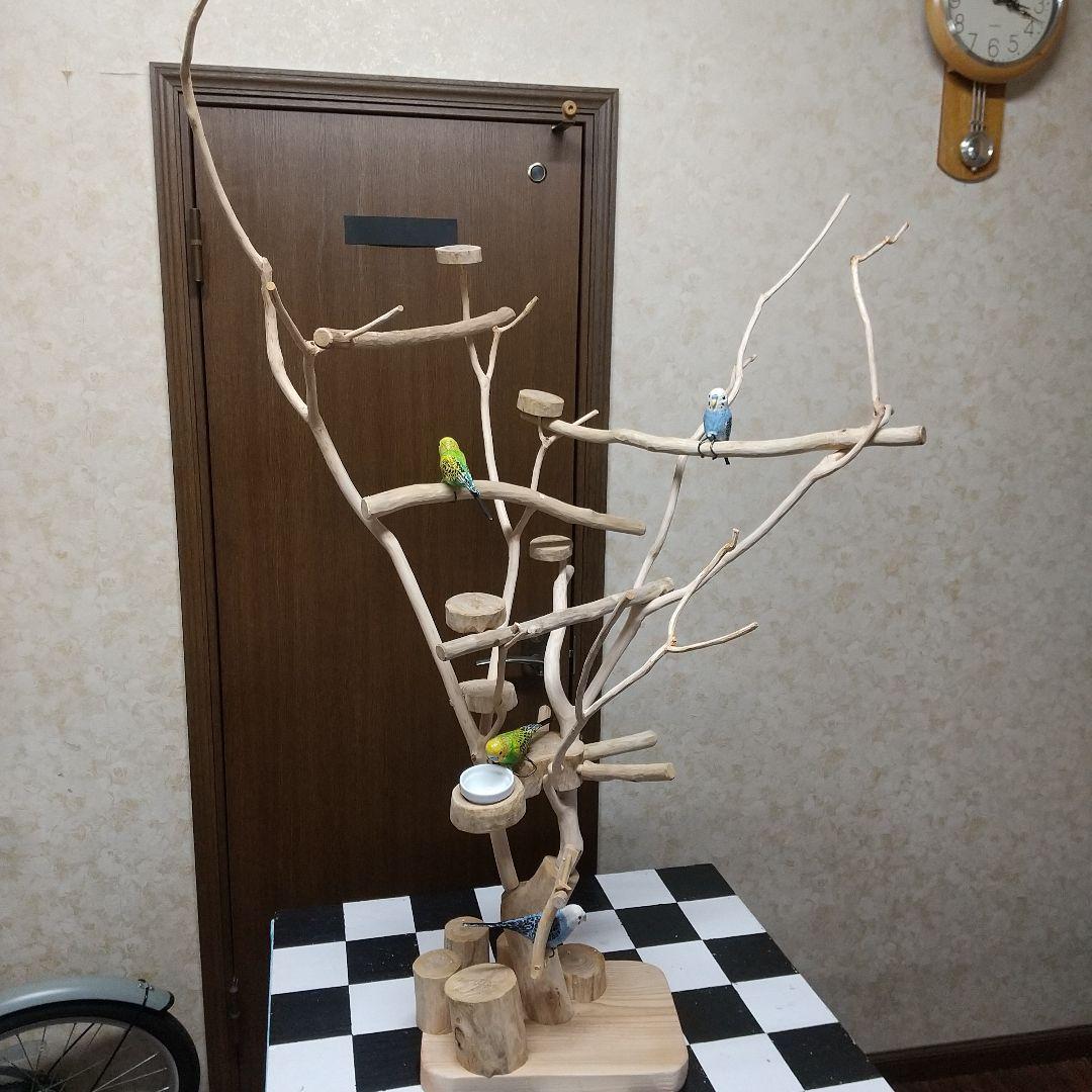 小型鳥インコ止まり木バードアスレチックツリージム2 木製 鳥用止まり