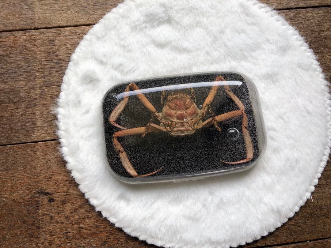 壇ノ浦 平家怨霊人面蟹 サムライガニ - メルカリ