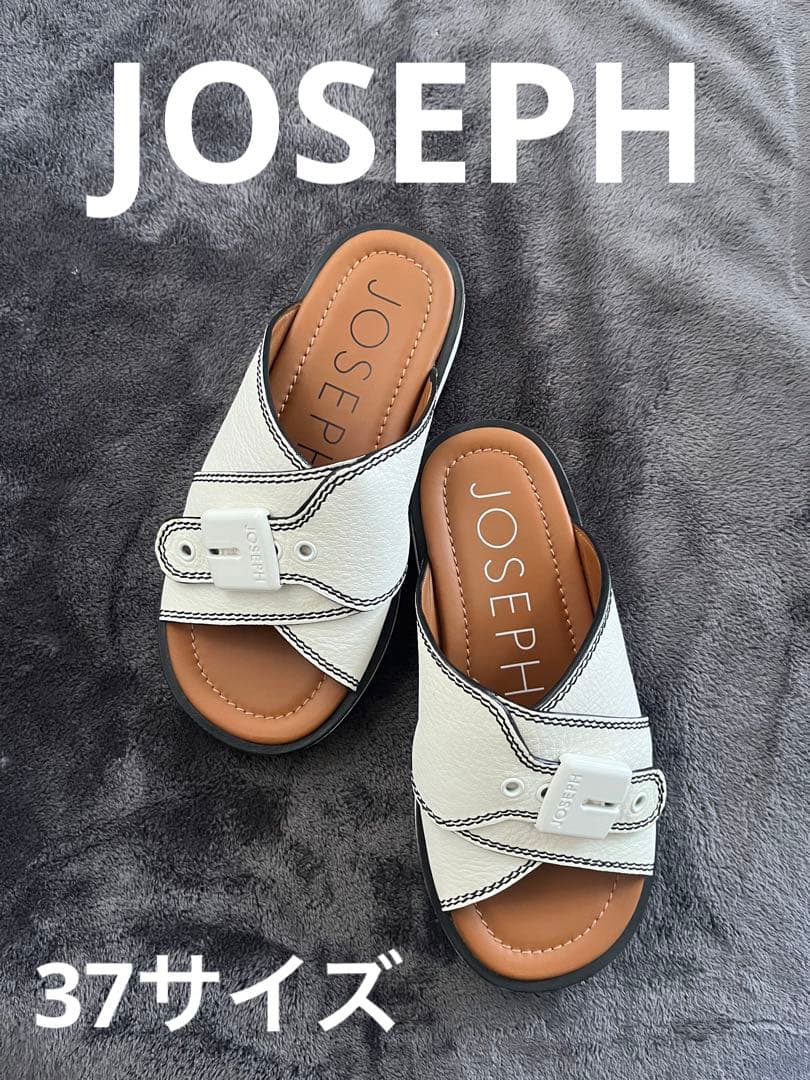 RIDGID リジッド 64497 3インチセンタ ガイドF シ スネイク 20個入