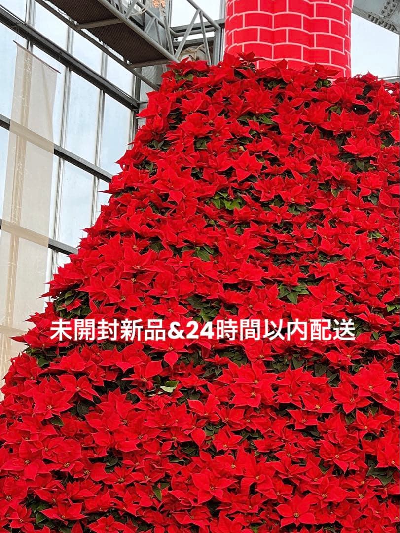 ラスト イケメンヴィラン ジュード 彼と眠れる添い寝シーツ メッセージ