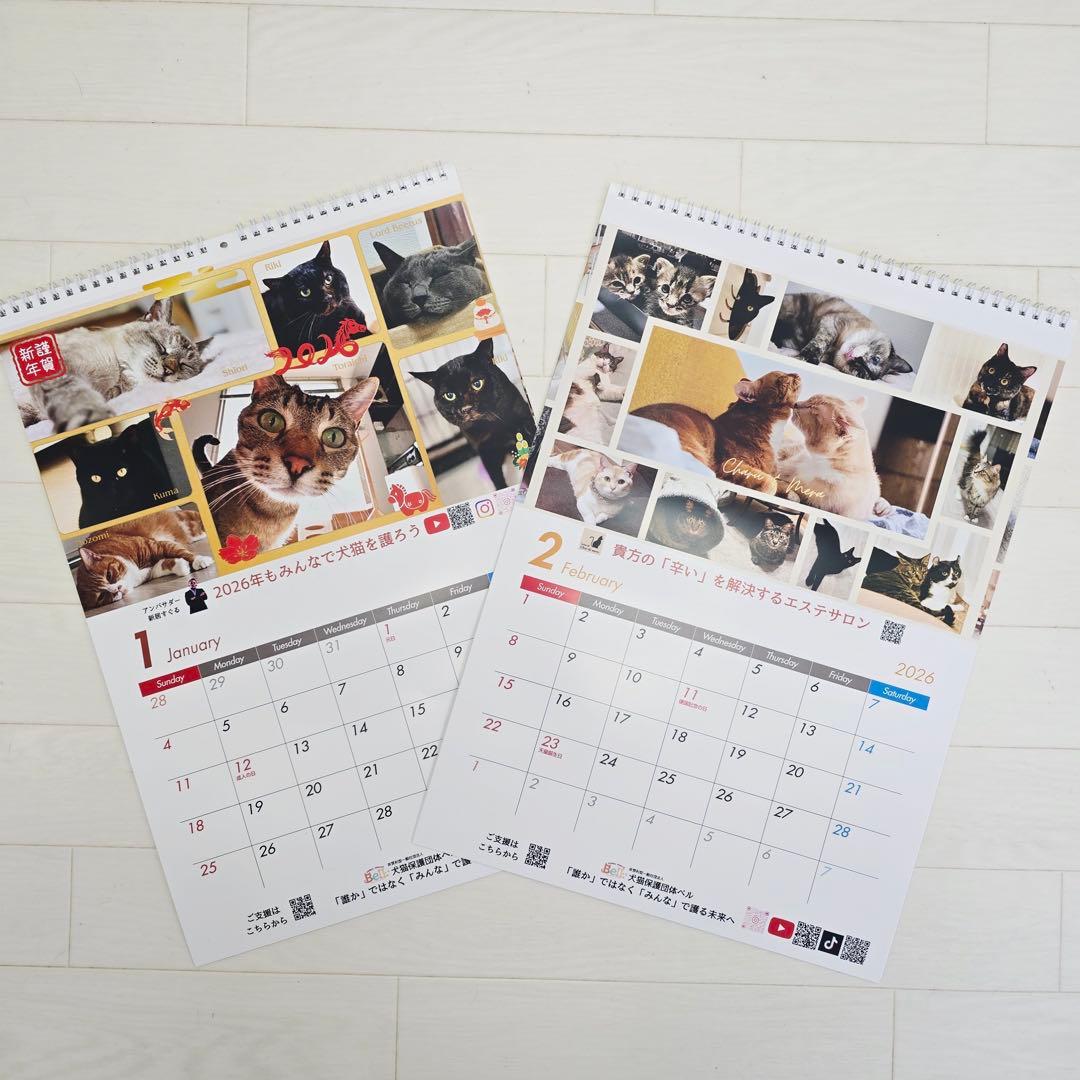 ③《猫》壁掛けチャリティーカレンダー5枚セット