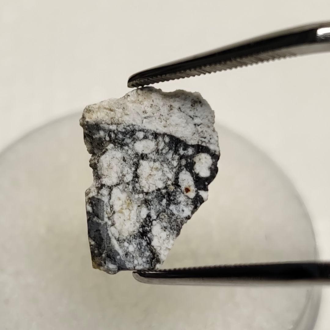 月隕石 NWA5000 320mg アダムホープ氏サインカード付き NO.399 - メルカリ