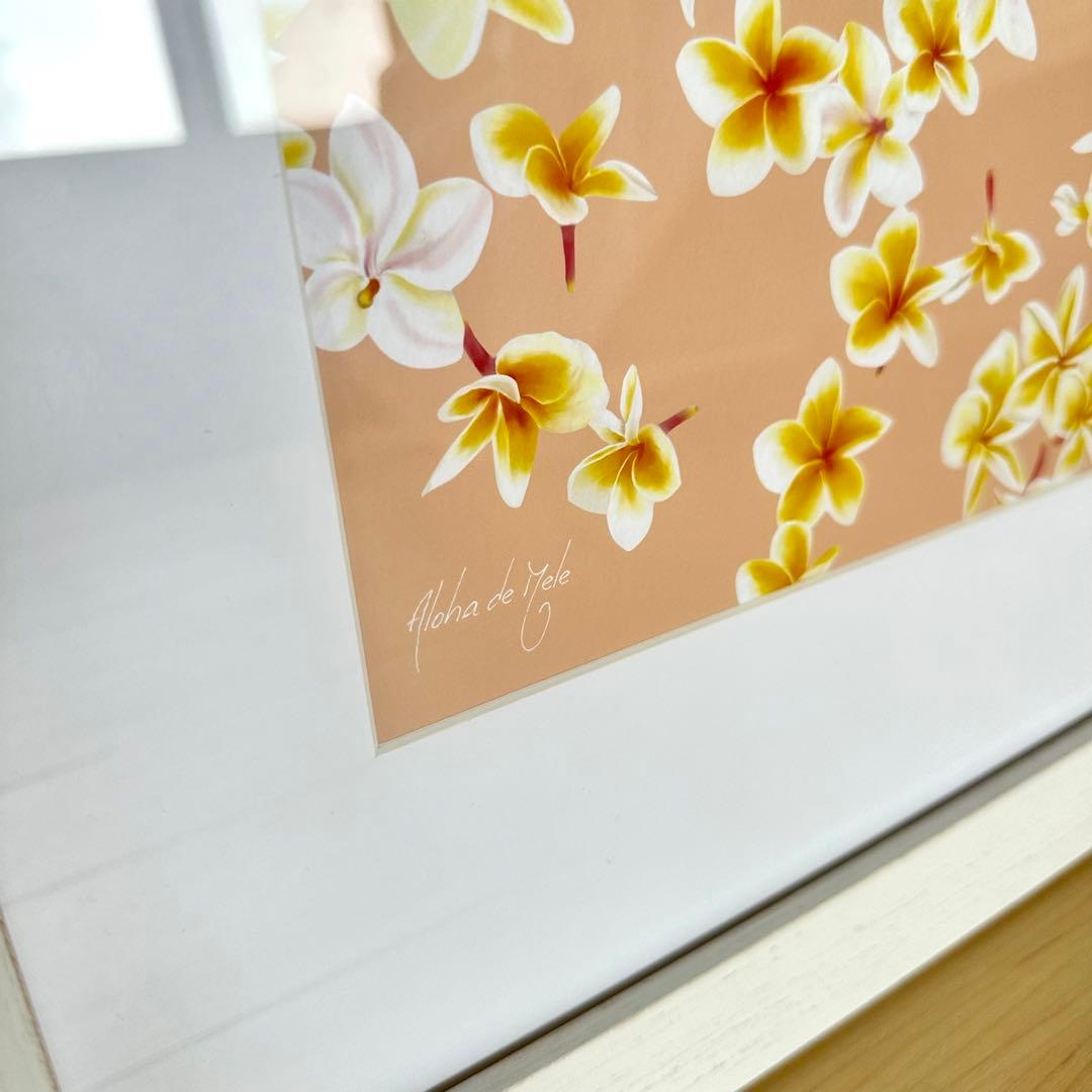 限定1点ハワイの本人から仕入れたレア版/アロハデメレ『Melia F2』額付L