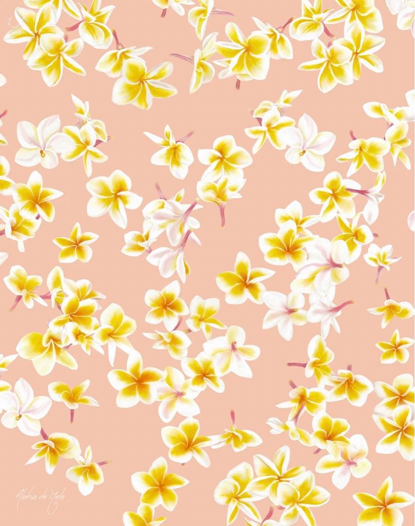 限定1点ハワイの本人から仕入れたレア版/アロハデメレ『Melia F2』額付L