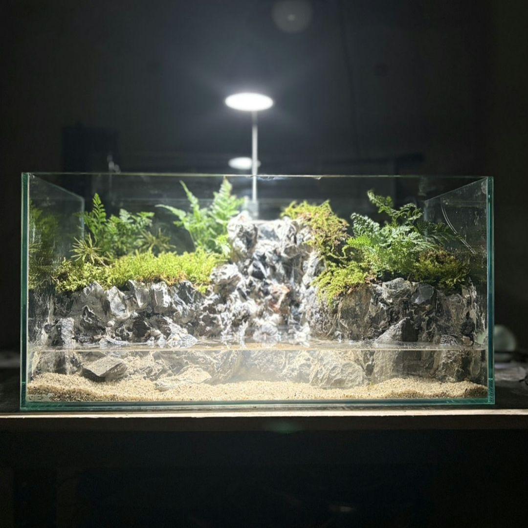 滝の流れるアクアテラリウム Boo様専用 - メルカリ