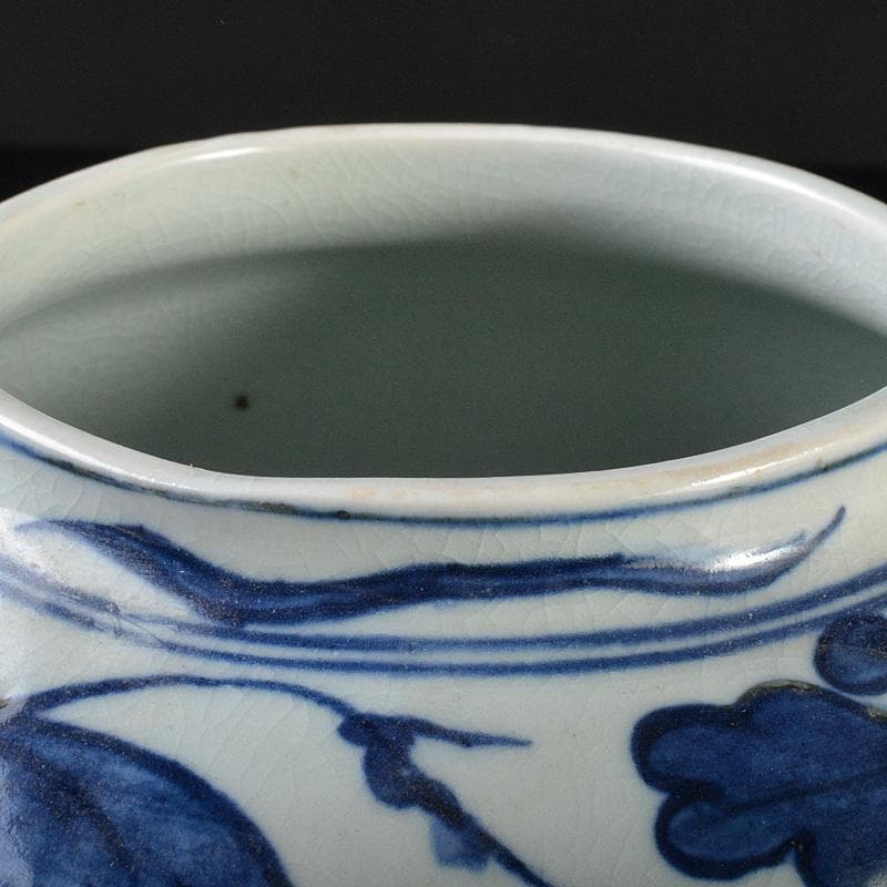 中国　青花　花卉魚波文瓶　壷　N　R5755