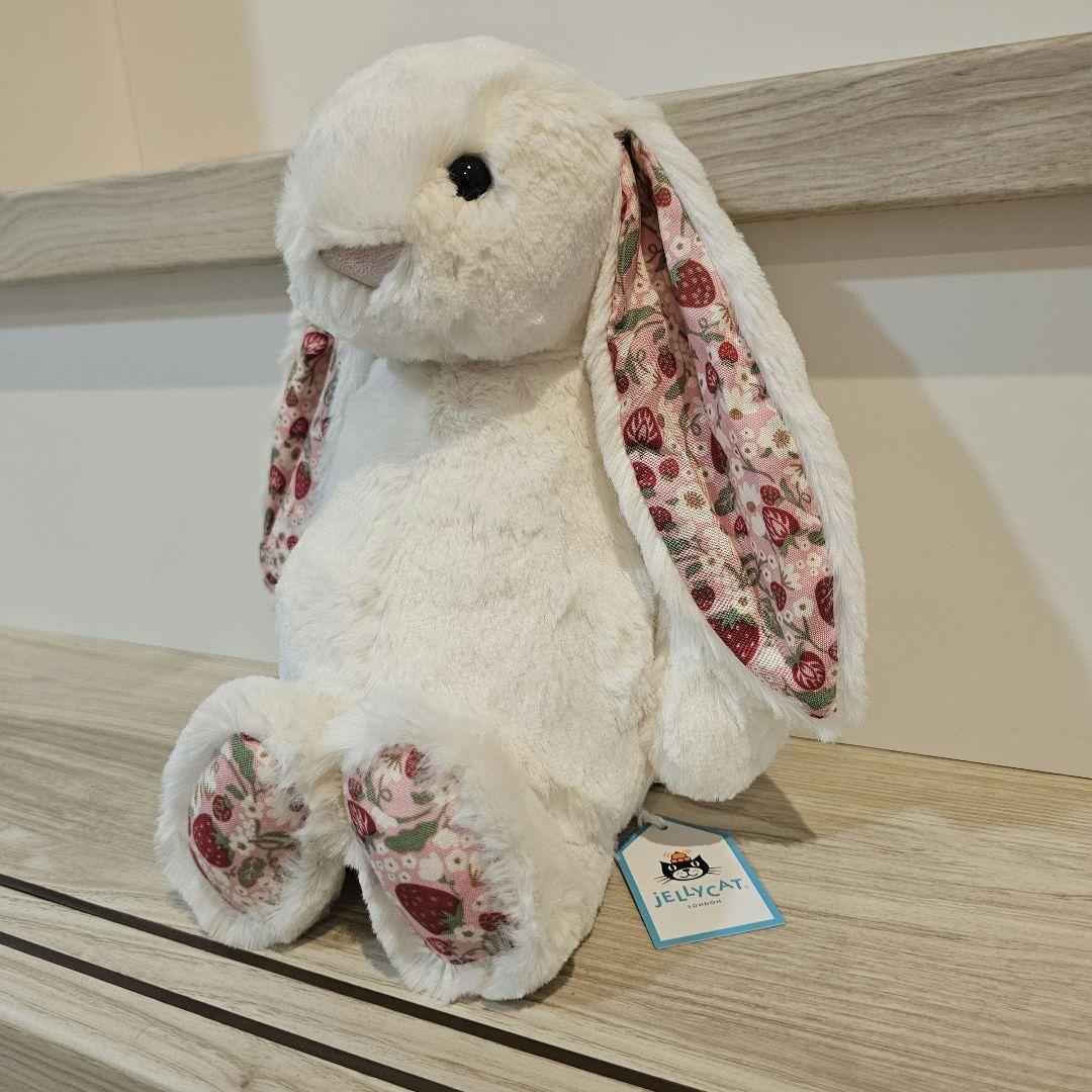 ジェリーキャット Blossom Cream Bunny Berry(M)