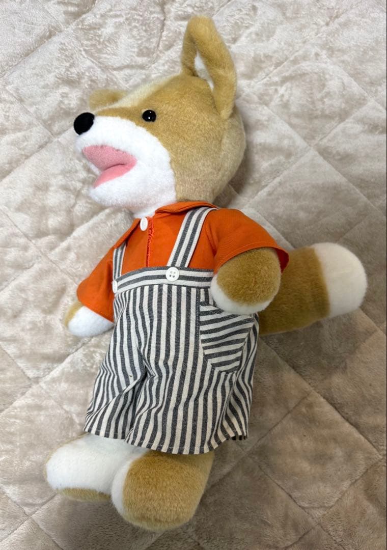 こんとあき　ぬいぐるみ【M】&絵本セット