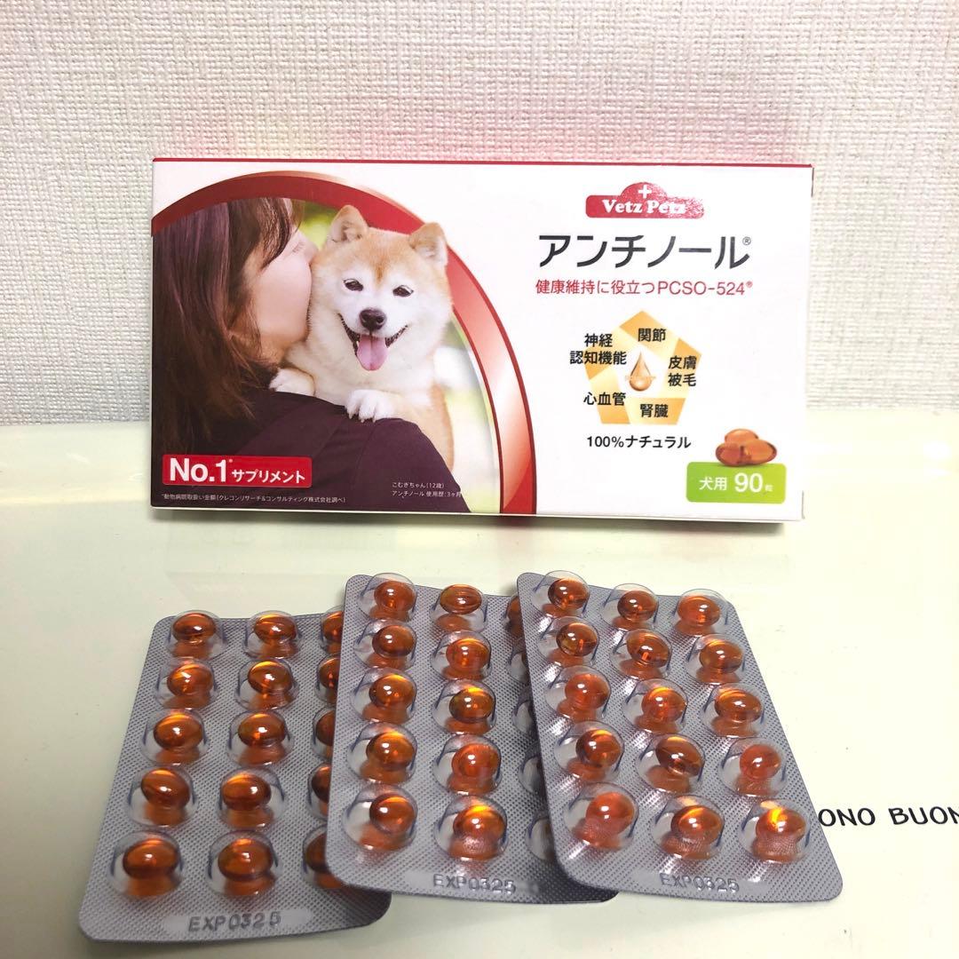 アンチノールプラス 犬用 アンチノール 犬用90粒＋3シート 90粒 3
