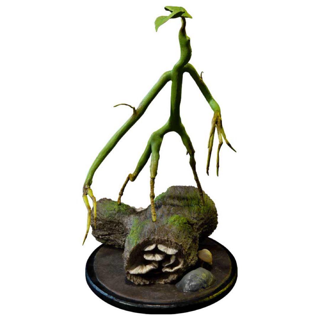 ファンタスティックビースト ピケット フィギュア