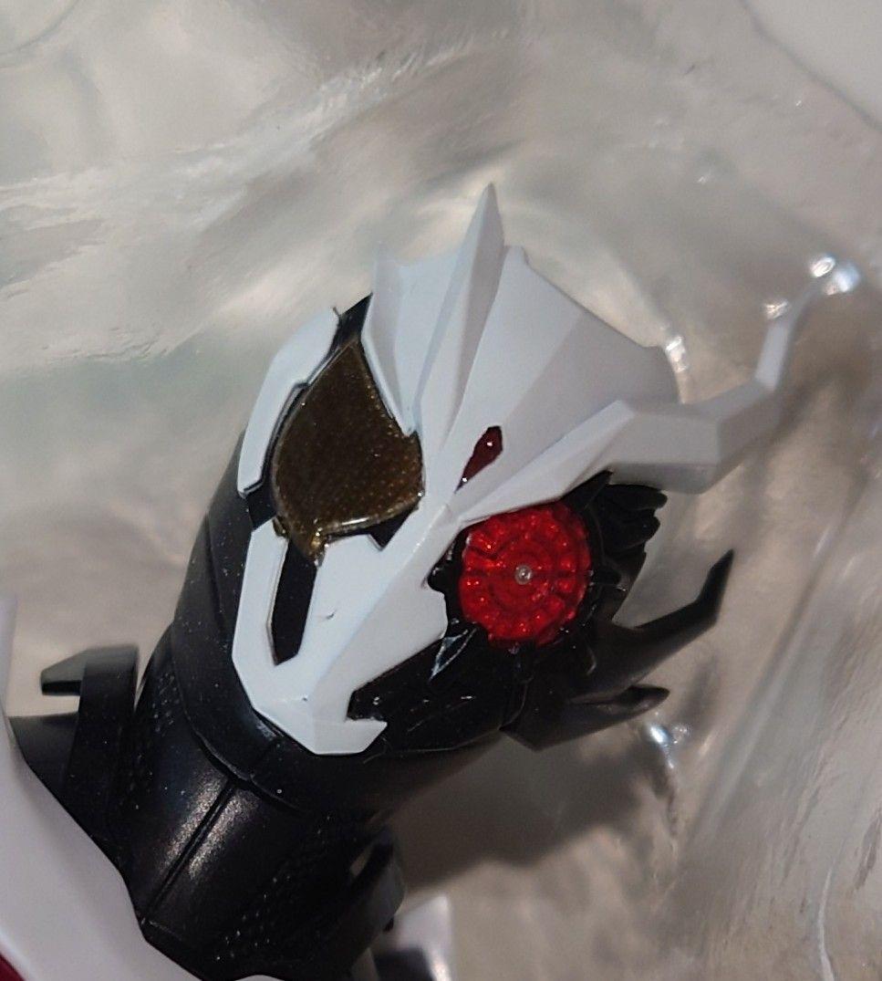 (注意点有)S.H.フィギュアーツ 仮面ライダーアークワン&滅アークスコーピオン