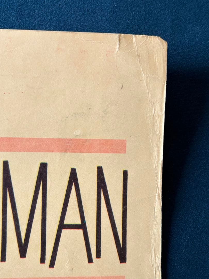 どの窓からでも見て下さい　USオリジナル映画ポスター