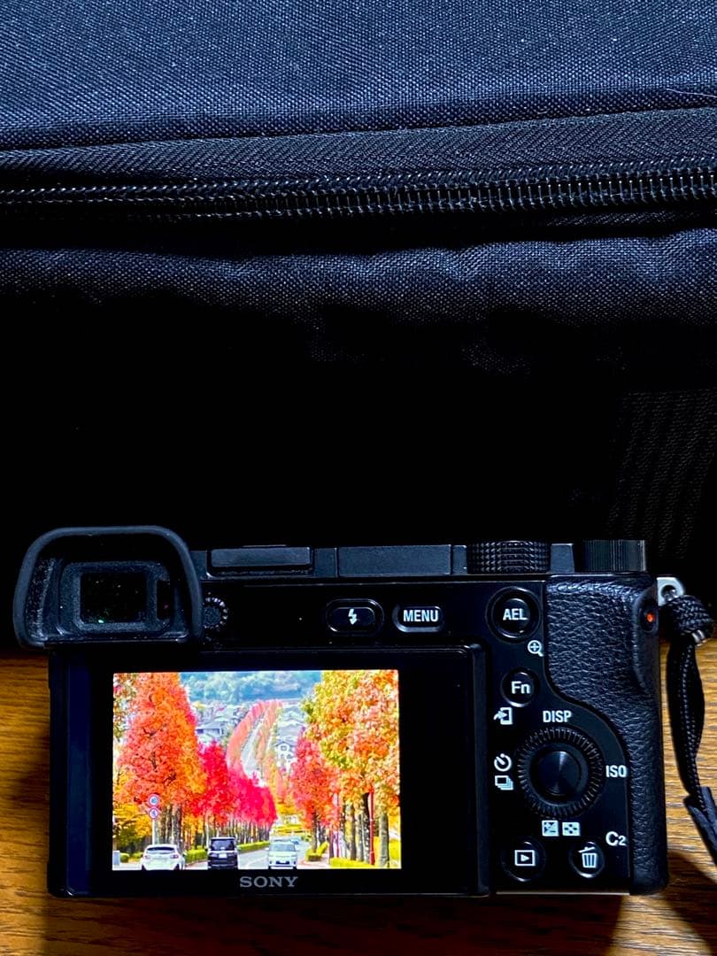 SONY α6100 ソニー 瞳AF リアルタイムトラッキング