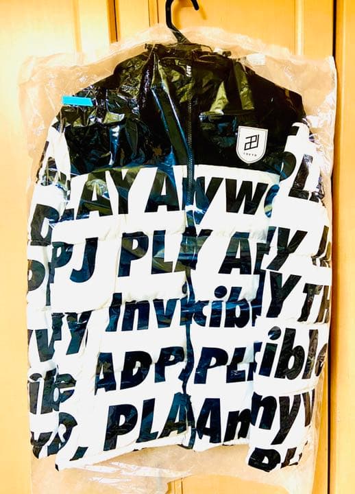 北島勝永 雲龍図 屏風 貴重品