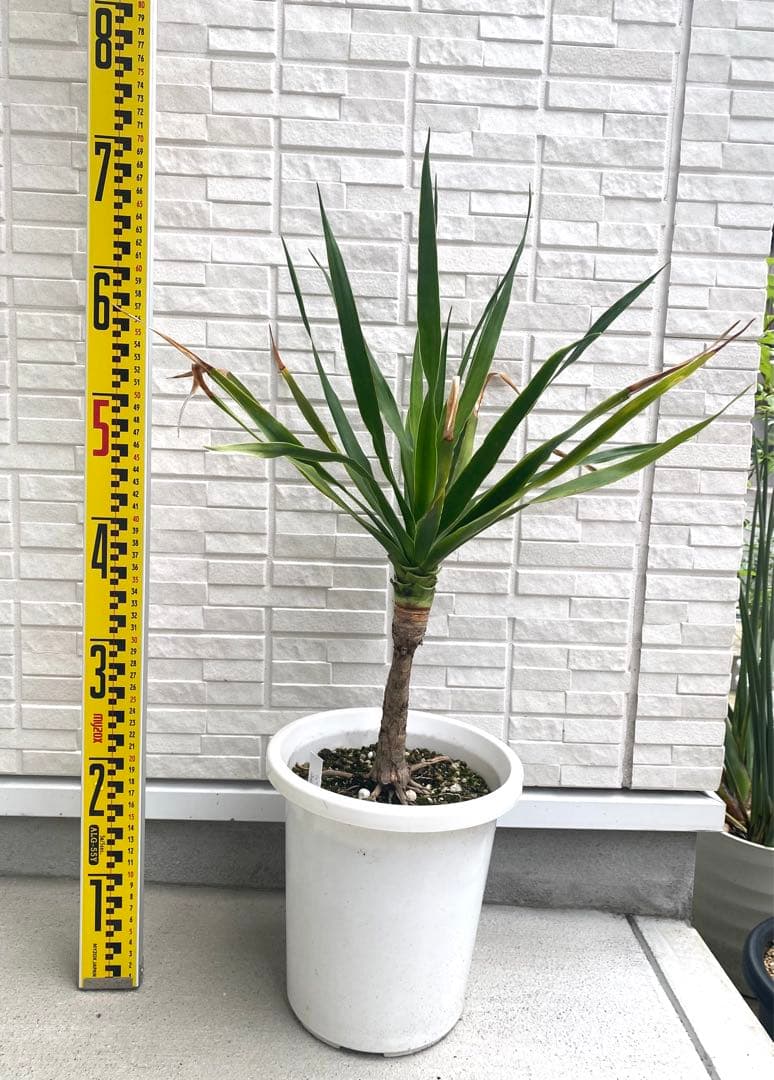 ステルス田中雷工房 メトロン星人円盤 キッド 20センチアクリル