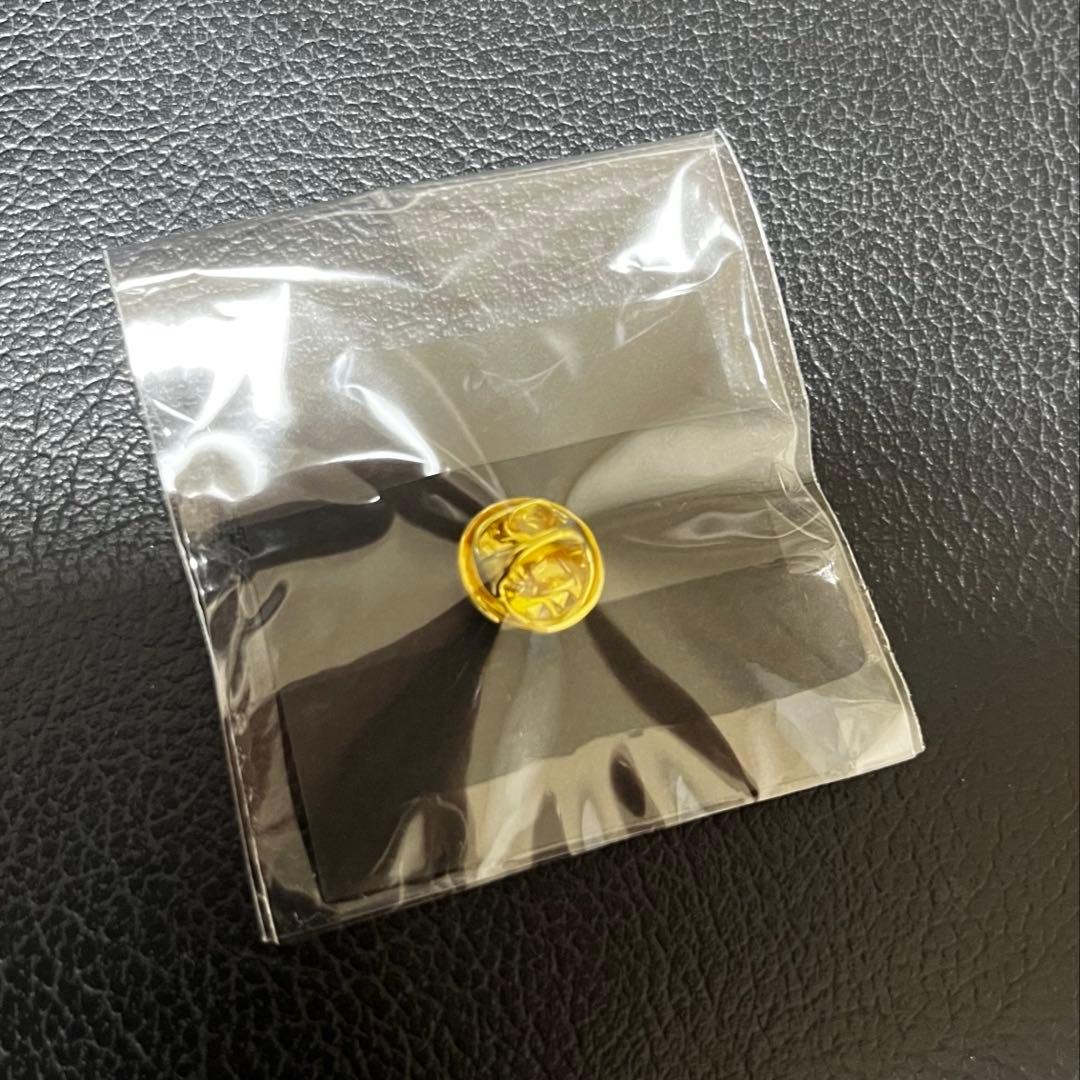 新品未開封】大阪 関西万博 限定 飯田グループ パビリオン ピンバッジ