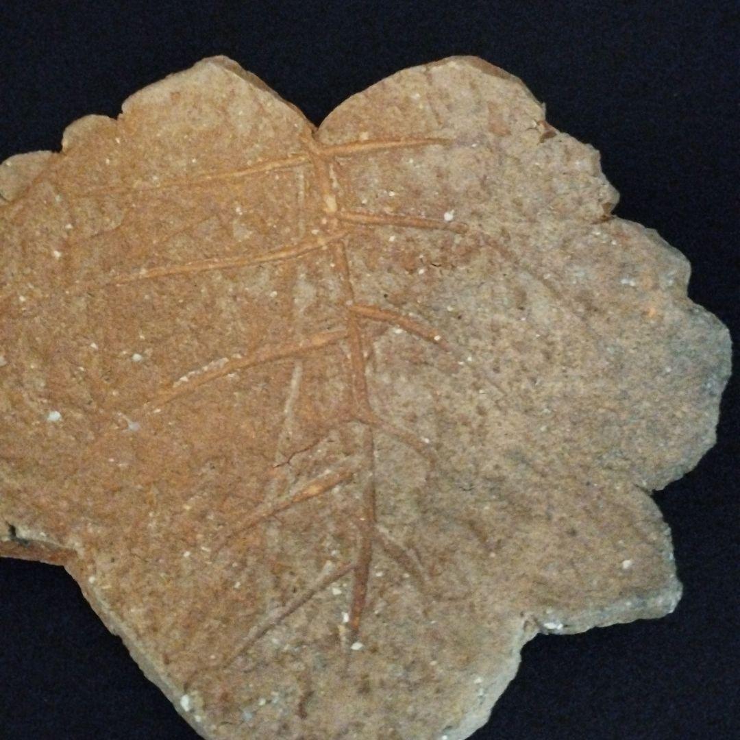 辻清明 信楽 木の葉皿