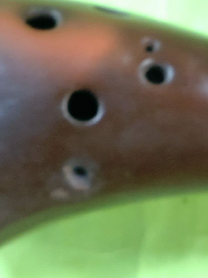 ピエタ オカリナ　4C