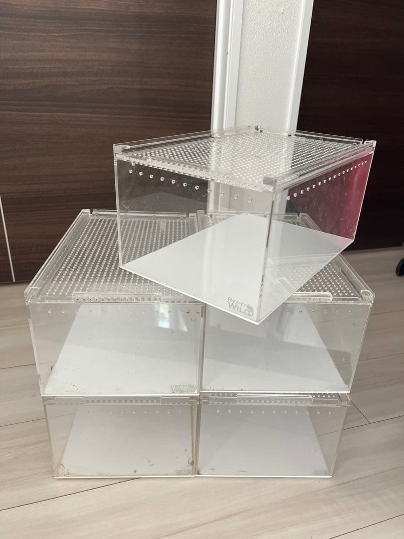 中古レプタイルボックス　5個 5個】レプタイルボックス 30×20×15cm 爬虫類 ケージ 飼育ケース - メルカリ