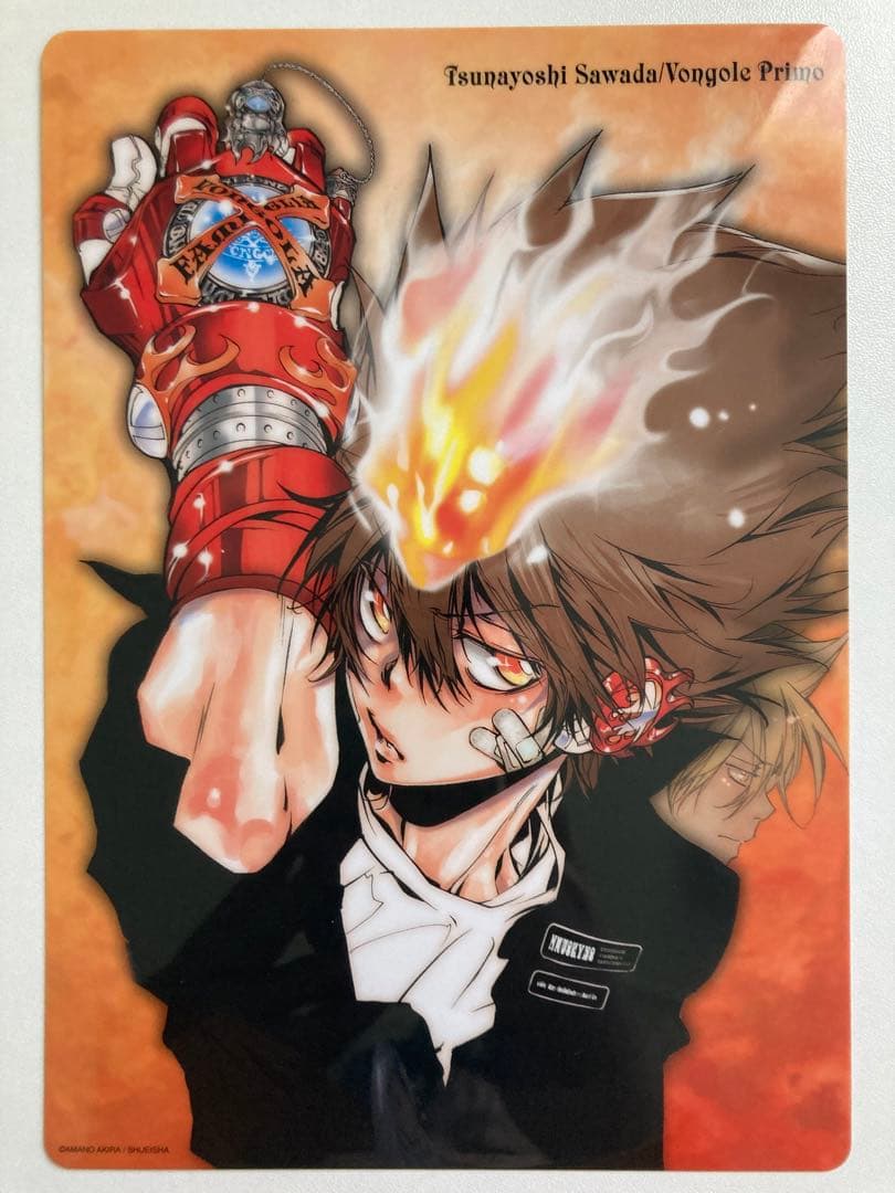 家庭教師ヒットマンREBORN！ 沢田綱吉 獄寺隼人 下敷き