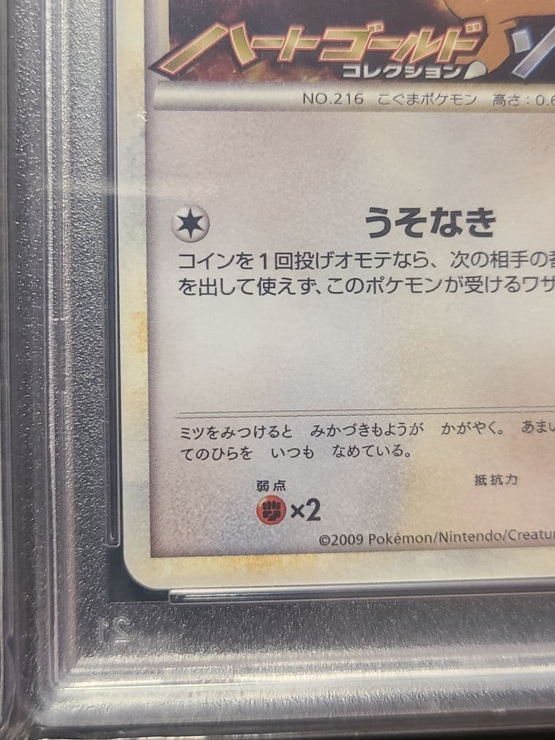 (PSA10) ヒメグマ L-P 010 プロモーションカード