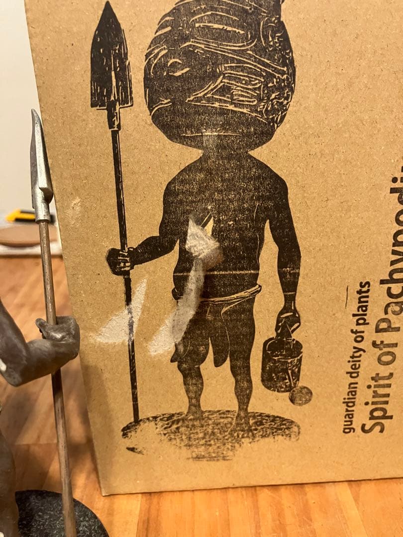 ozwrtパキポディウムの精霊